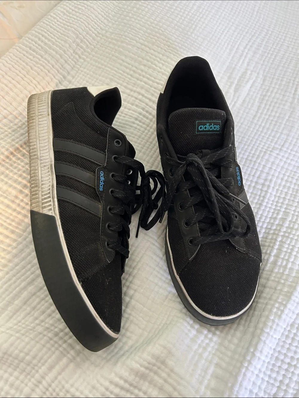 adidas Black Low-Top Canvas Sneakers with Blue Accents